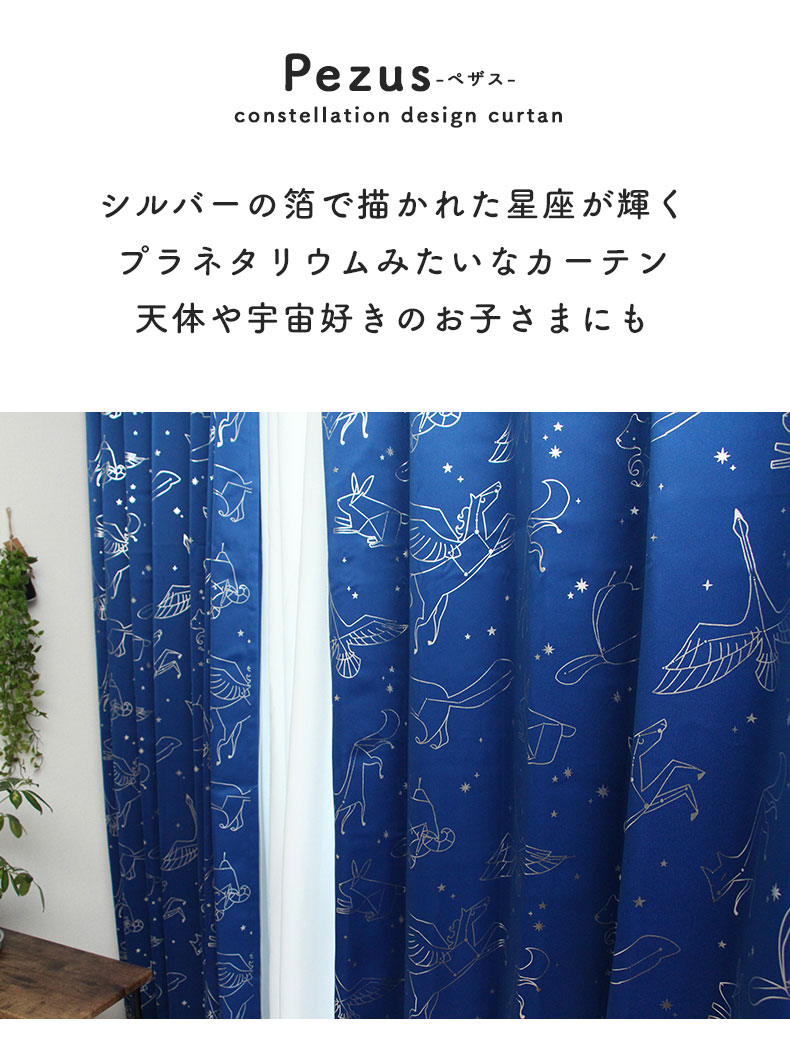説明
