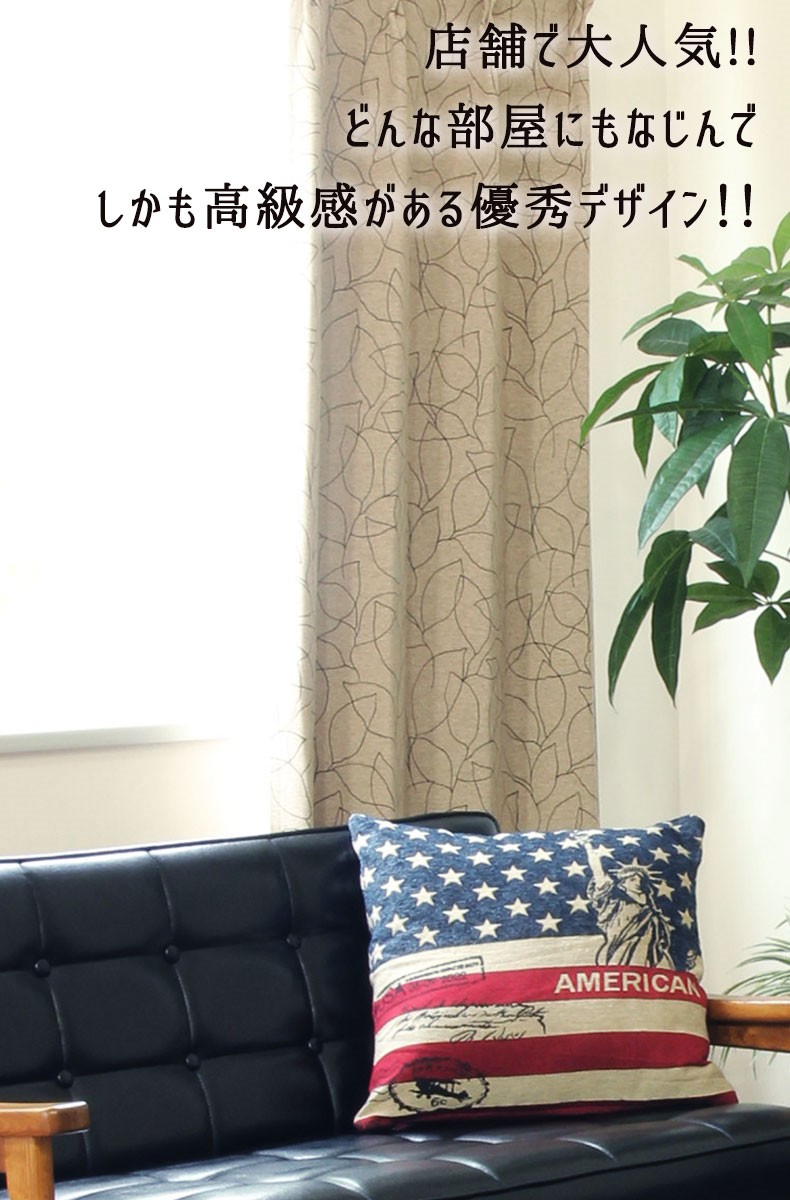 説明