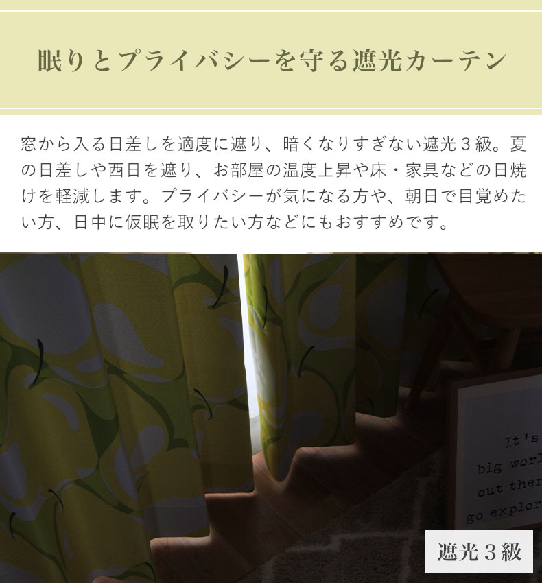 説明