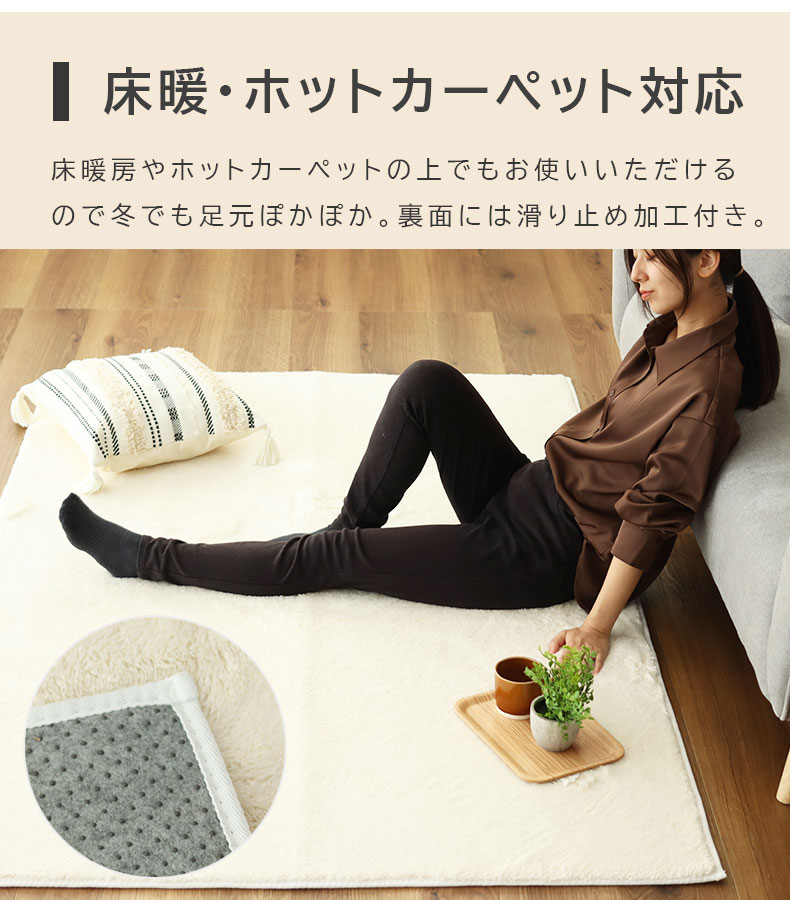 説明