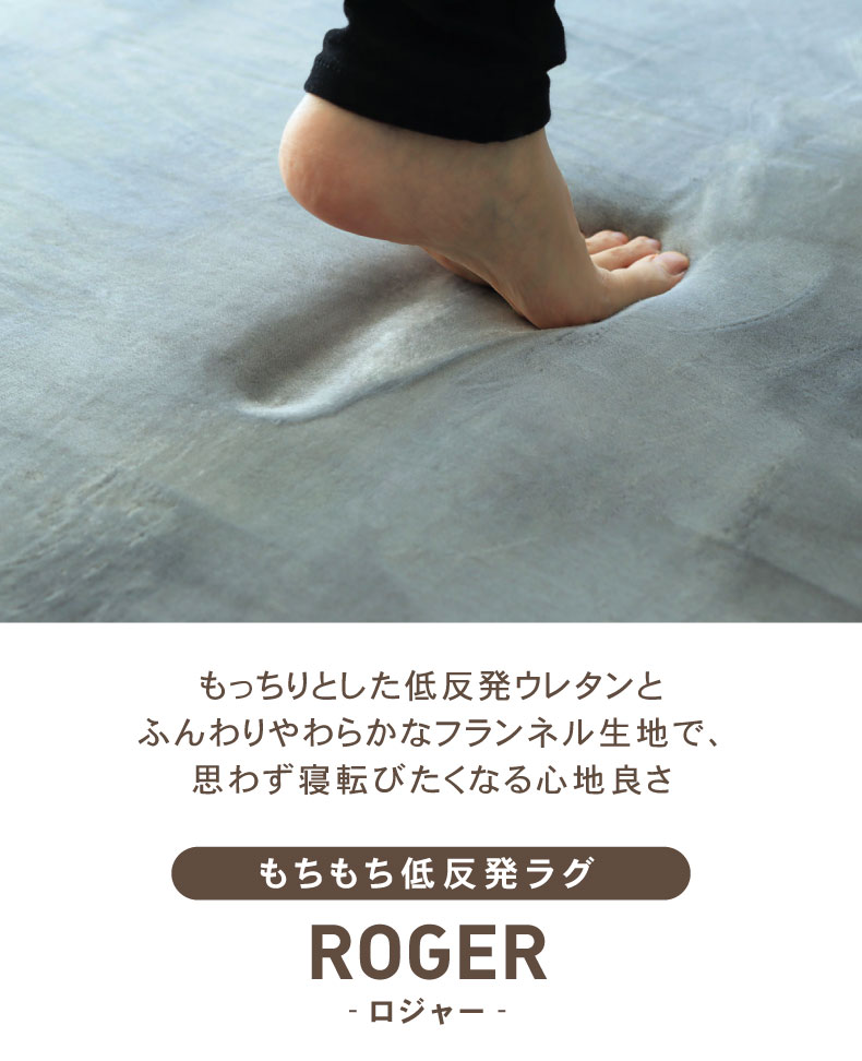 説明