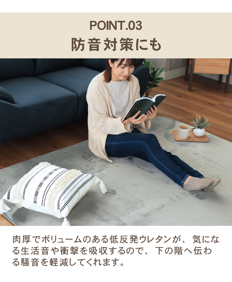 説明