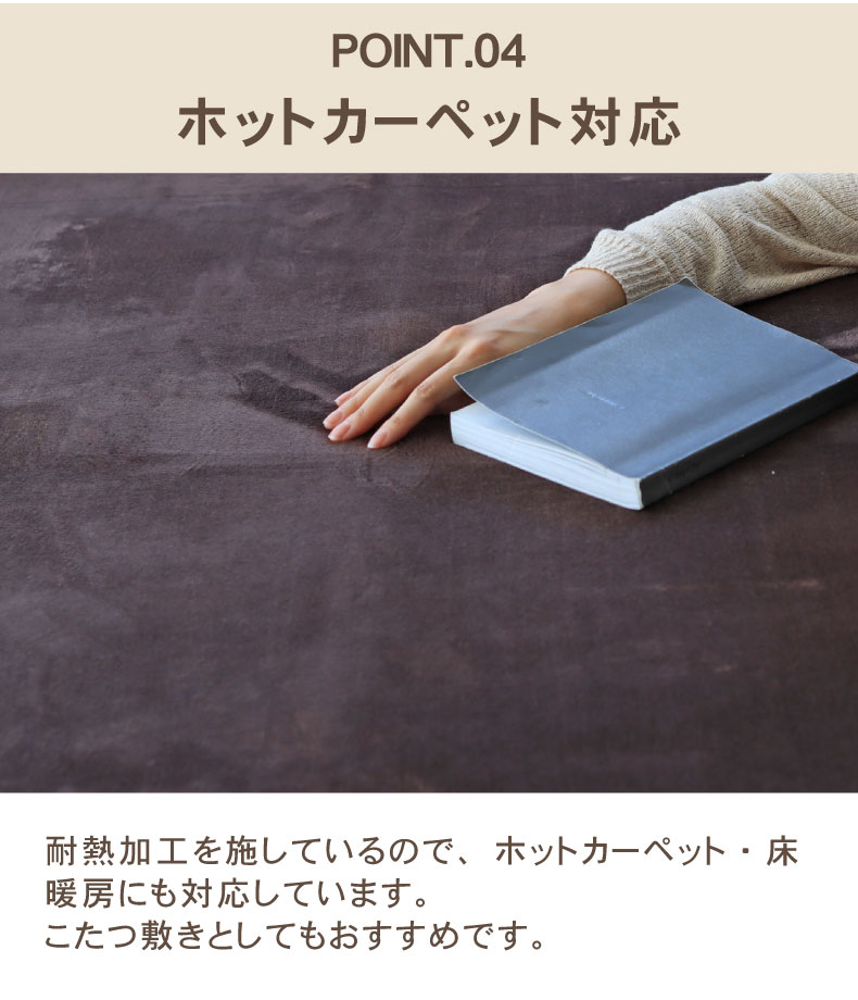 説明