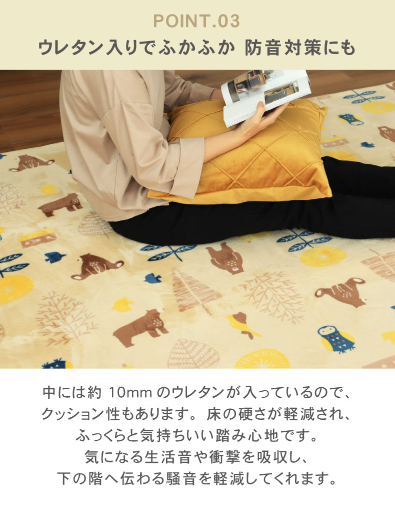 説明