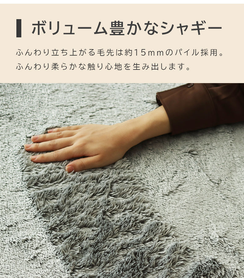 ラグ バディンの機能