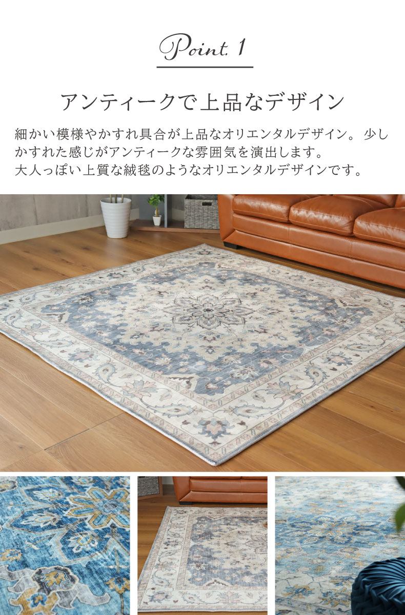 ラグ リュオンの機能