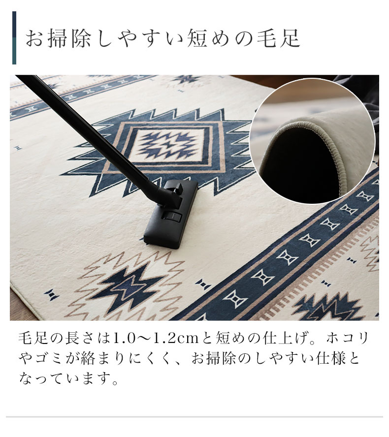 説明