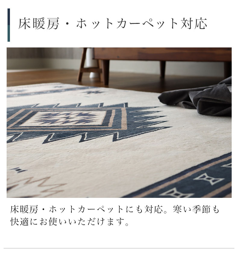 説明