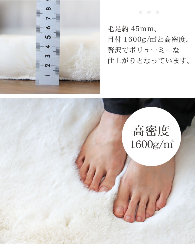 説明