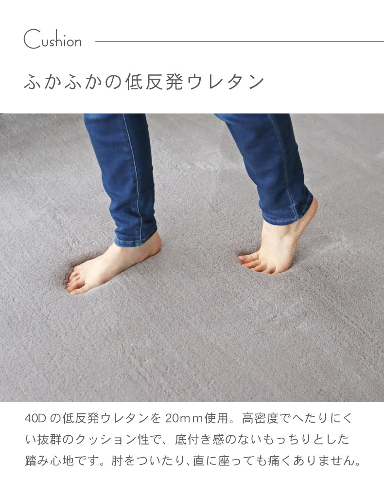 ラグ フロートの機能