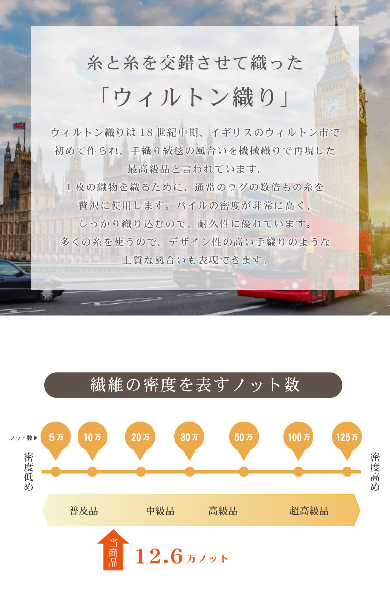 ウィルトン ラグ シナイの機能
