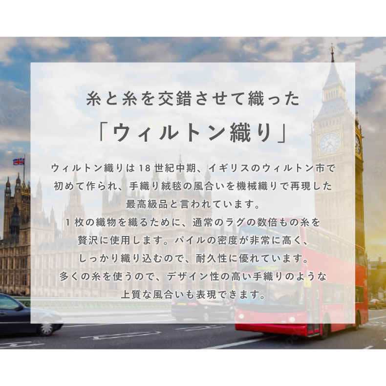 ウィルトンラグ メロエの機能