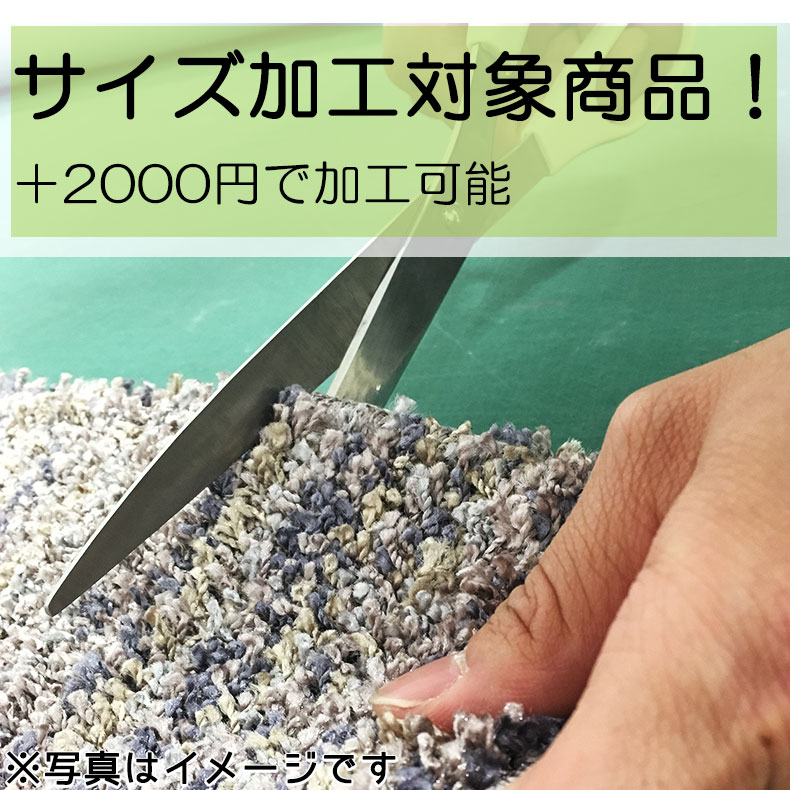 説明