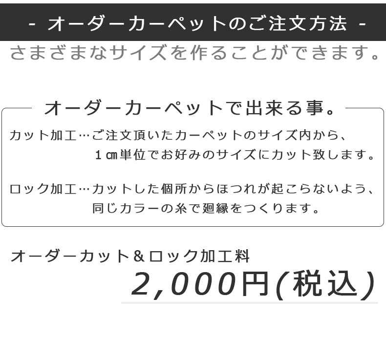 説明