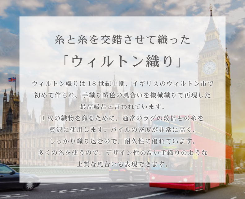 ウィルトンラグ エデンの機能