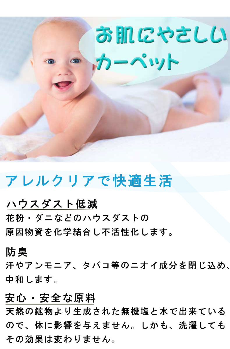 説明