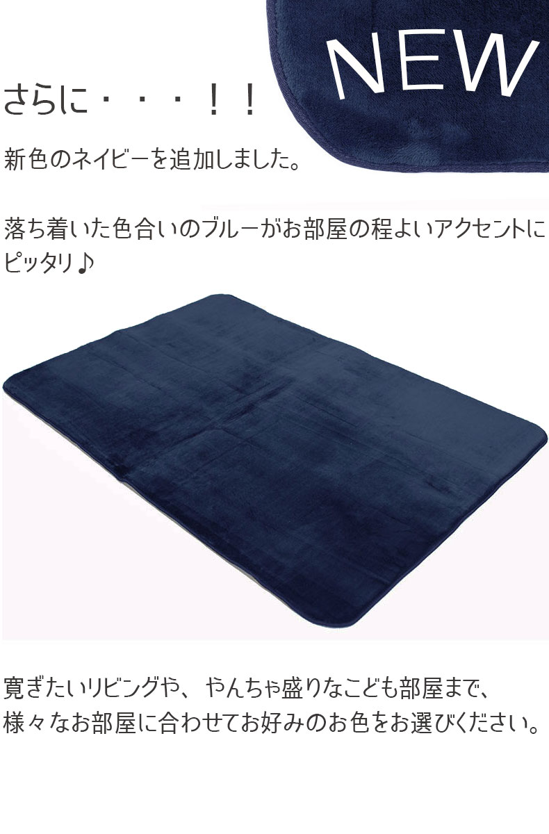 説明