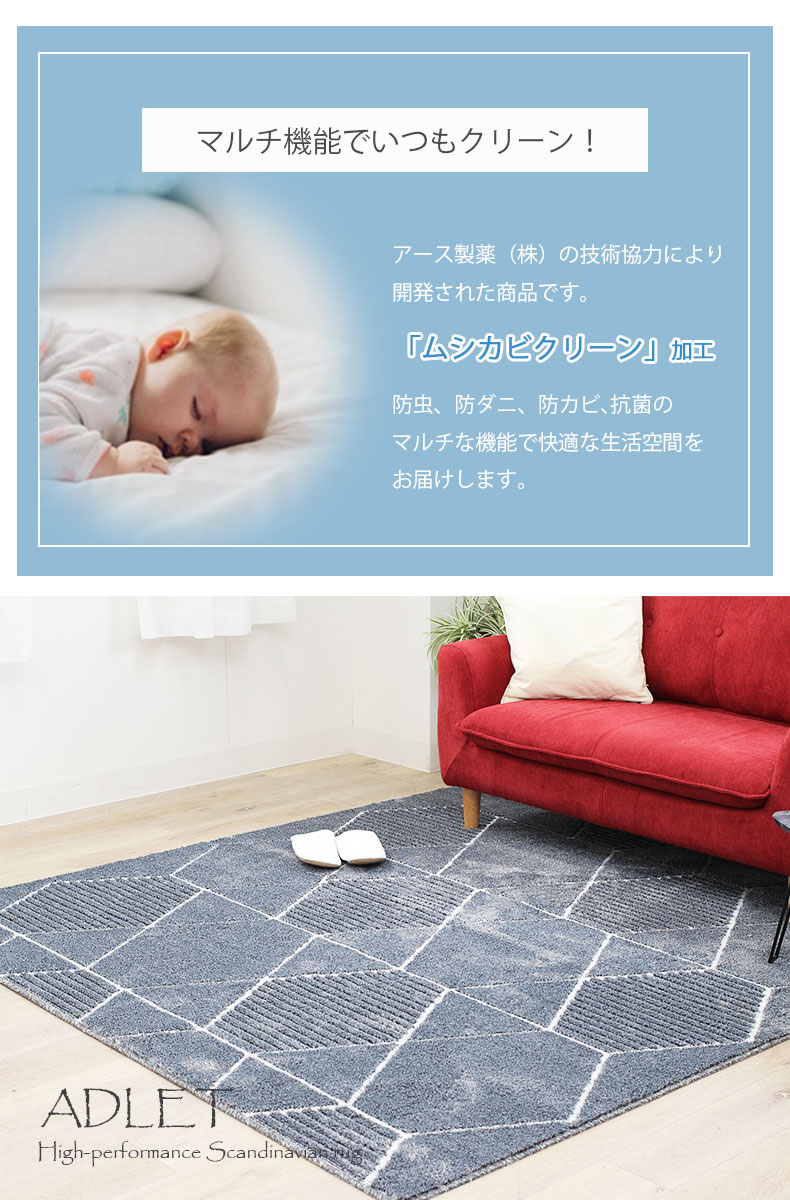 説明