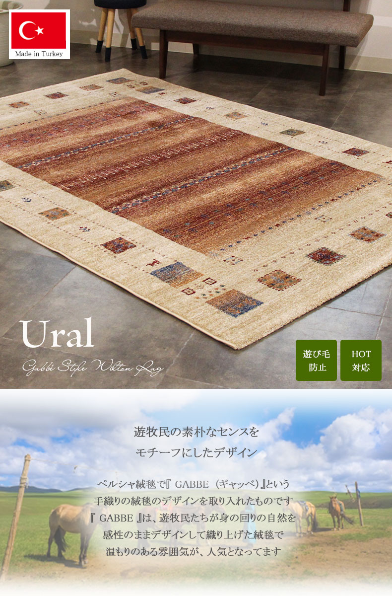 説明