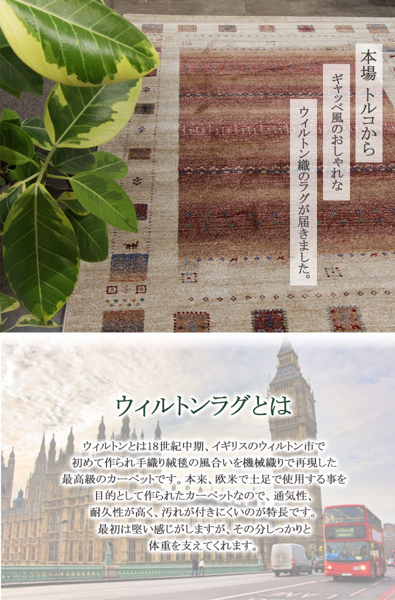 説明