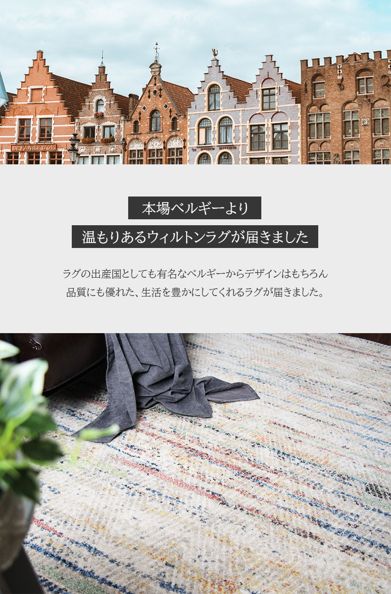 説明