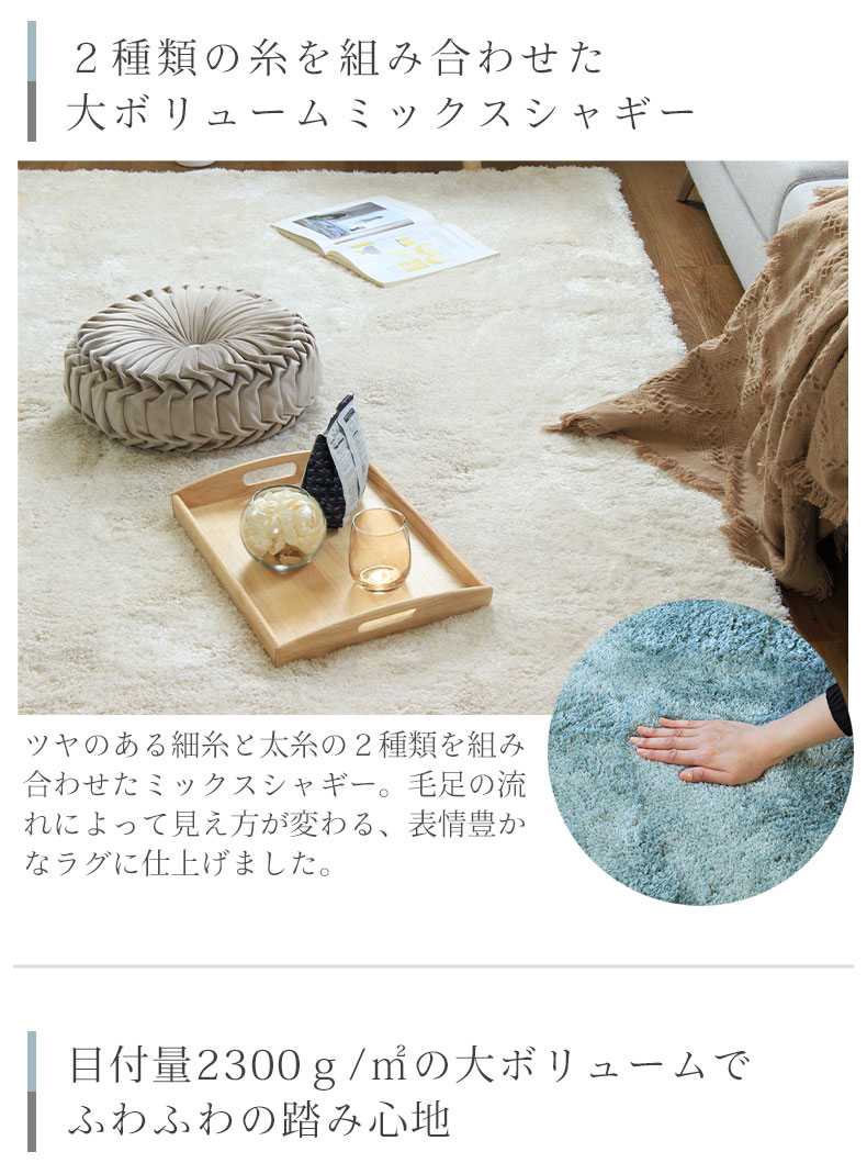 説明