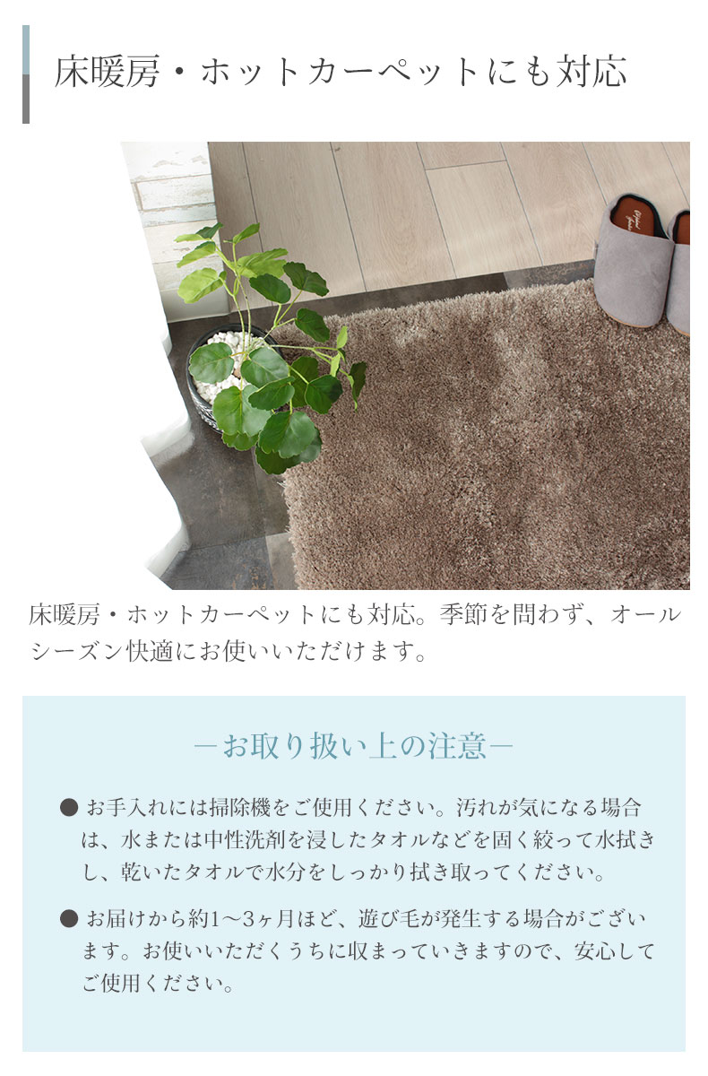 説明