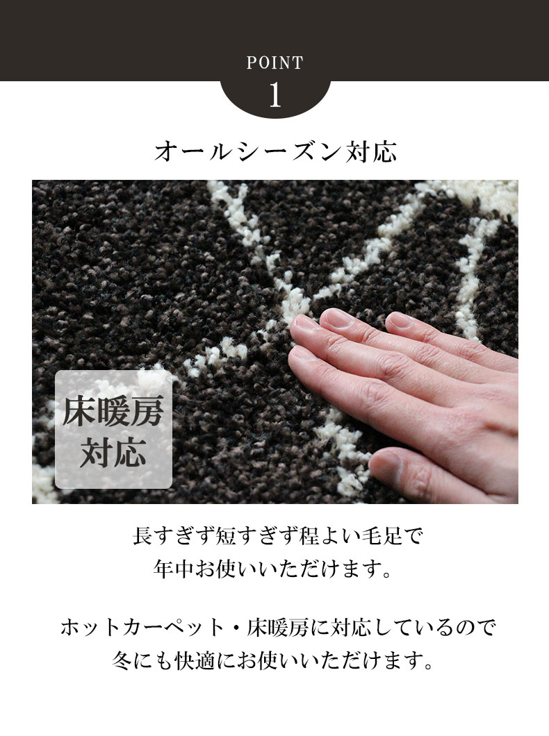 説明