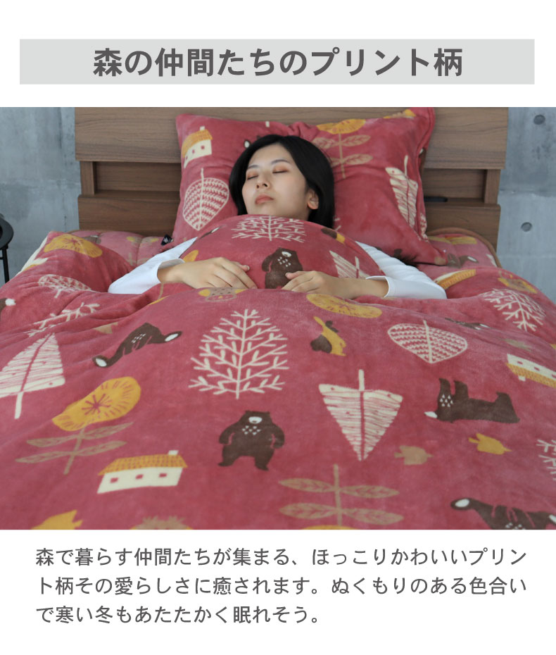 説明