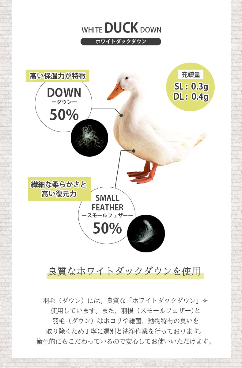 説明