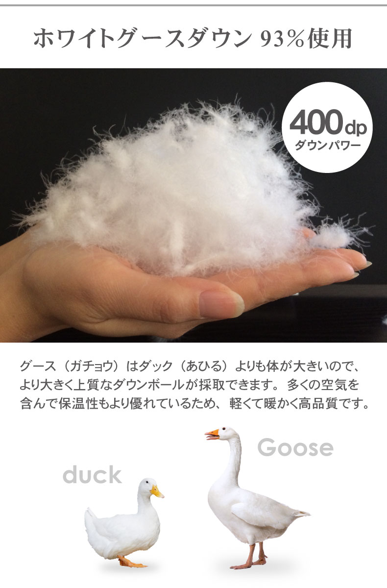 説明