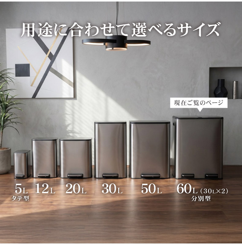 60L ステンレス 分別ダストボックス レクトの機能