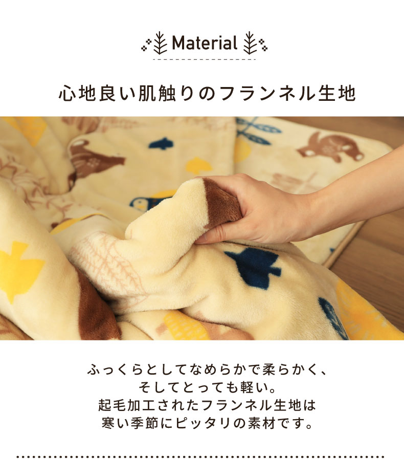 説明