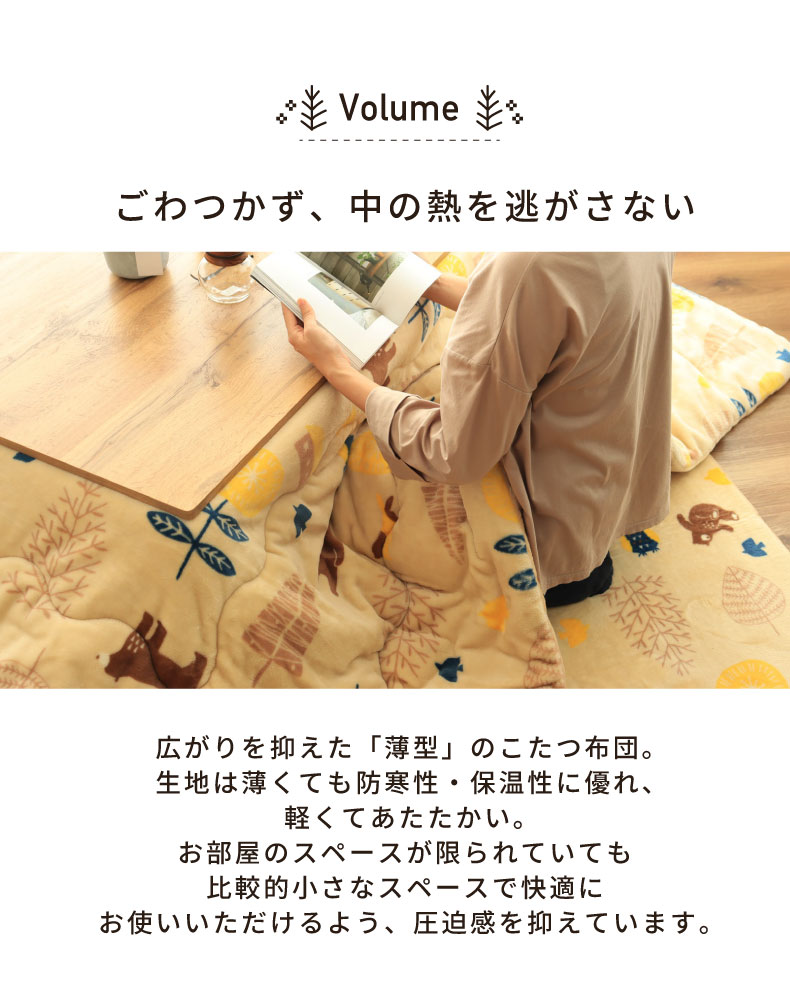 説明