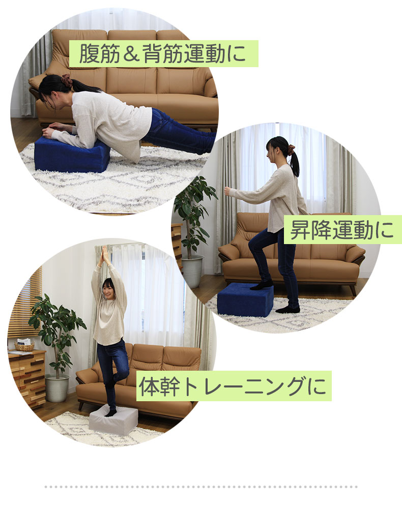 説明