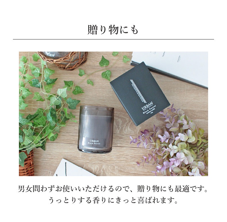 説明