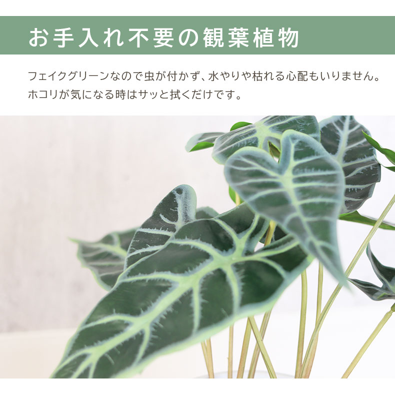 説明