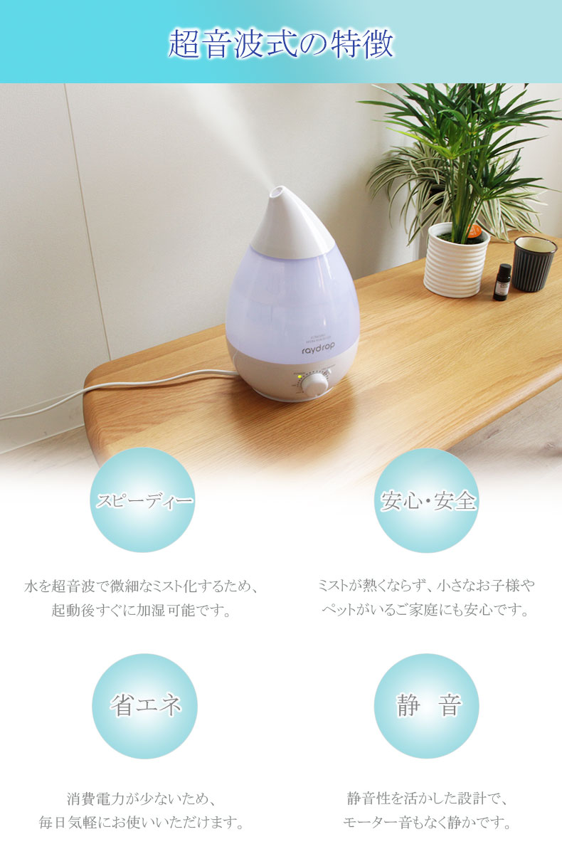 説明