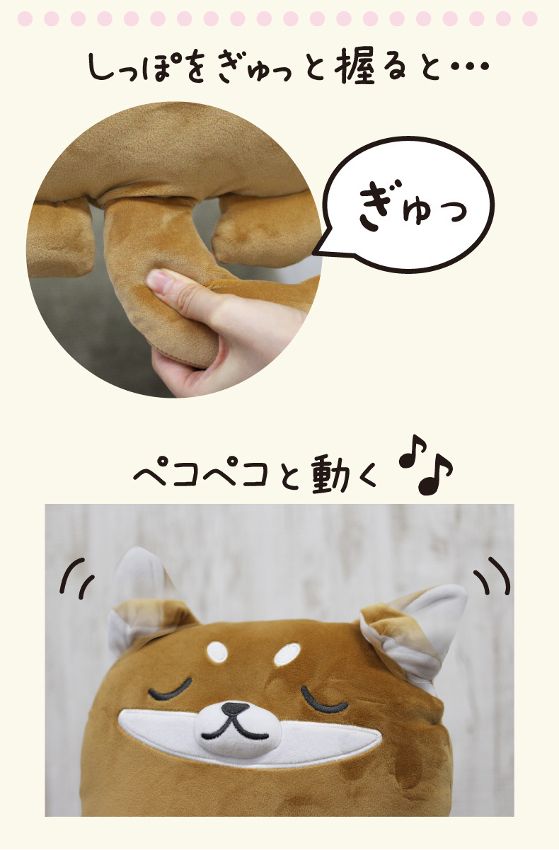 説明