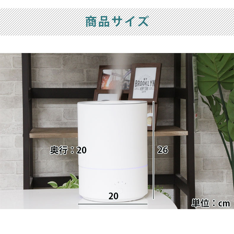説明