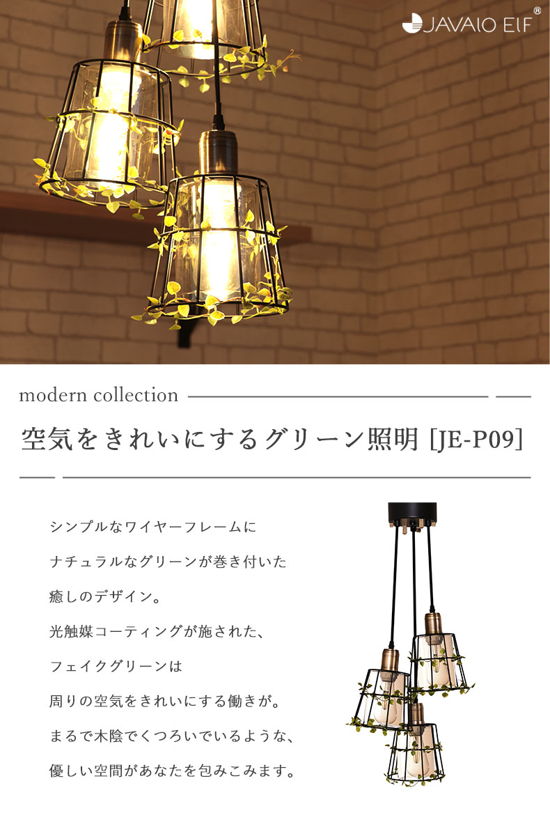 説明