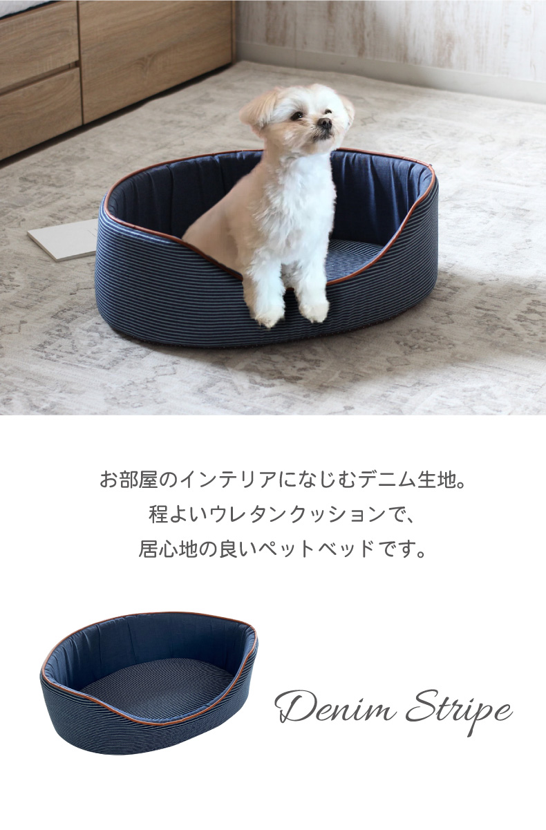 説明