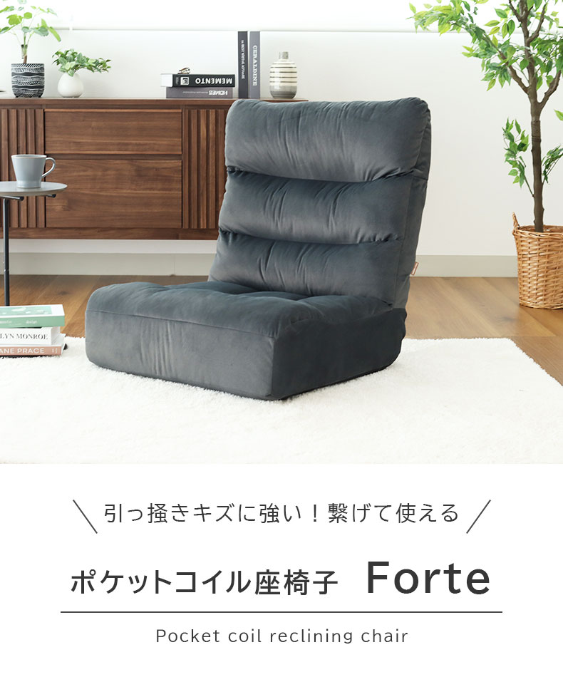 ワイド座椅子 フォルテ