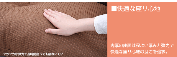 説明
