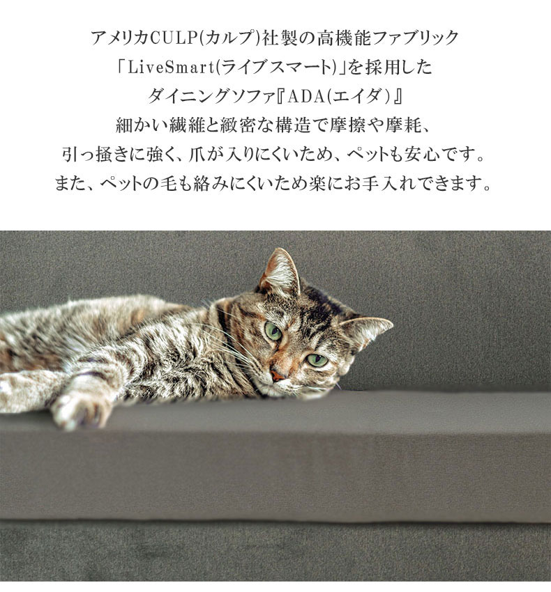 LD ベンチ エイダ
