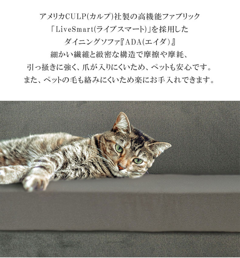 LD 2Pソファ+カウチ+クッション 4点セット エイダ