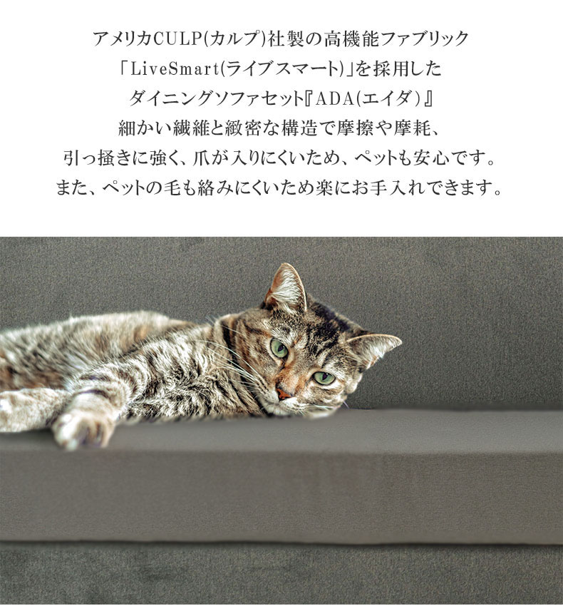 LD 6点セット エイダの機能