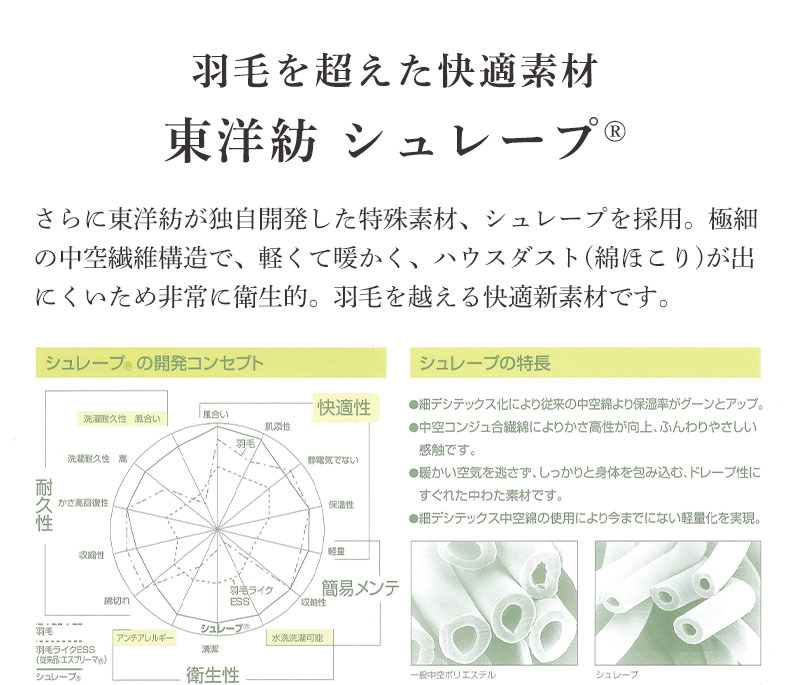 説明