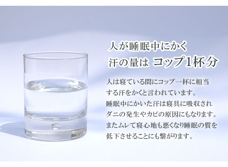 ベッドフレーム スノコ床板 ウィロー2の機能