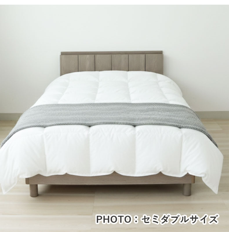 ベッドフレーム ジークのカラー